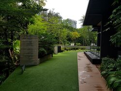three-11 photo thumbnail #5